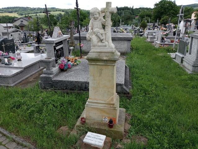 Aniela Januszewska 1897 Iwonicz Zdrój - Grobonet - Wyszukiwarka osób pochowanych