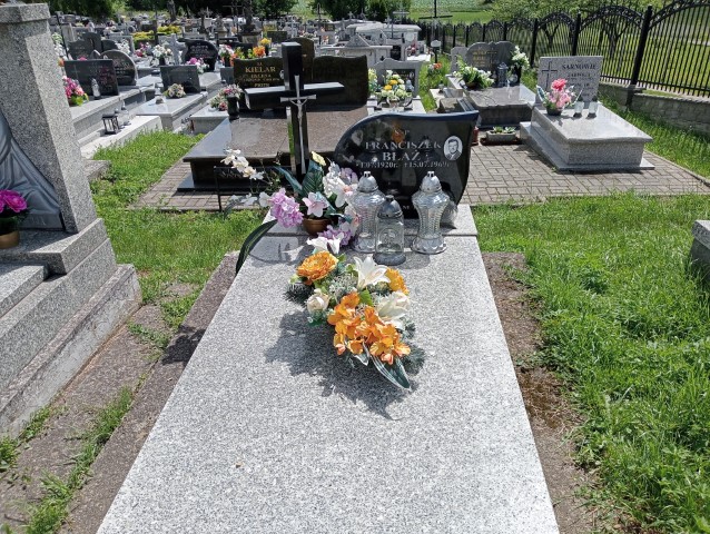 Grób Franciszek Błaż