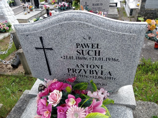 Paweł Such 1869 Iwonicz Zdrój - Grobonet - Wyszukiwarka osób pochowanych