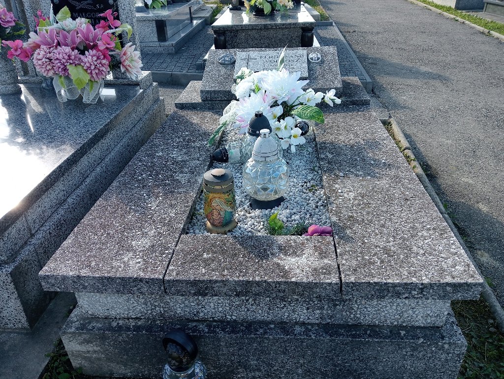 Grób Ferdynand Wołtosz